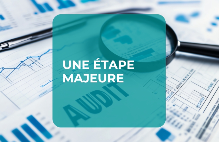 CESP audit okube
